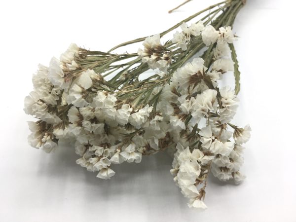 dried flowers