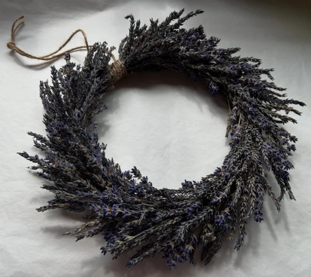 In two weeks time we’ll be hosting our first lavender wreath workshop @norfolk_lavender Set in the fragrant lavender fields of the UK’s premier lavender farm this workshop will be just dreamy. We’ll craft fresh lavender wreaths to be dried at home followed by a delicious cream tea…. did I mention there will be lavender ice cream?!! Link in bio #Norfolk #heacham #Norfolklavender #lavenderwreath #craft #workshop #wreathmaking